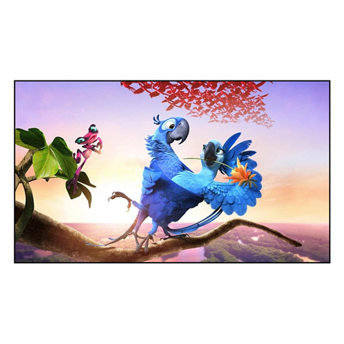 In che modo lo schermo a cornice fissa migliora la tua esperienza visiva?